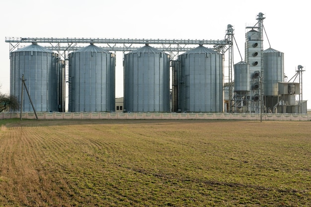 Silos de prata em planta de fabricação agro para processamento de secagem, limpeza e armazenamento de produtos agrícolas farinha de cereais e grãos Grandes barris de ferro de grãos Elevador de celeiro