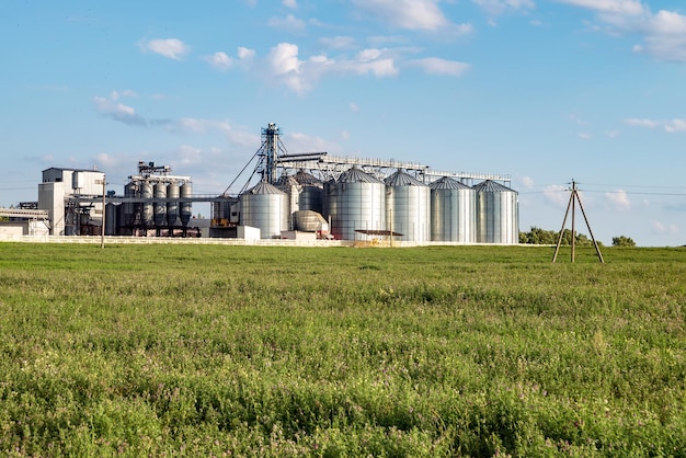 Silos de prata na planta de fabricação agro para processamento de secagem, limpeza e armazenamento de produtos agrícolas farinha de cereais e grãos Elevador de celeiro