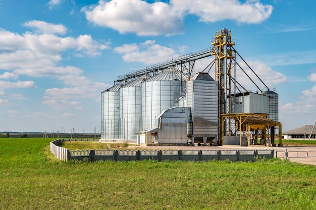 Silos de plata en la planta de fabricación agrícola para el procesamiento, secado, limpieza y almacenamiento de productos agrícolas, harina, cereales y granos, elevador de granero