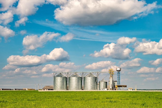 Silos de plata en la planta de fabricación agrícola para el procesamiento, secado, limpieza y almacenamiento de productos agrícolas, harina, cereales y granos, elevador de granero