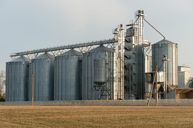 Silos de plata en la planta de fabricación agrícola para el procesamiento, secado, limpieza y almacenamiento de productos agrícolas, harina, cereales y granos Grandes barriles de hierro de grano Elevador de granero