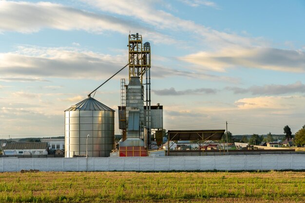 Silos de plata en la planta de fabricación agrícola para el procesamiento, secado, limpieza y almacenamiento de productos agrícolas, harina, cereales y granos Grandes barriles de hierro de grano Elevador de granero