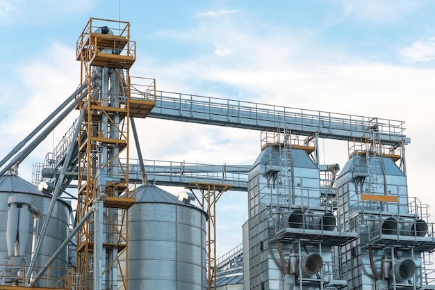 Silos de plata en la planta de fabricación agrícola para el procesamiento, secado, limpieza y almacenamiento de productos agrícolas, harina, cereales y granos Grandes barriles de hierro de grano Elevador de granero