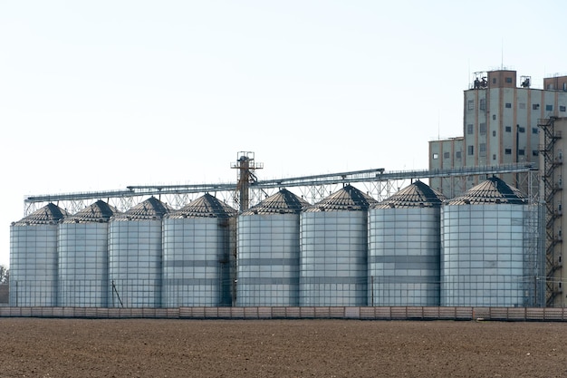 Silos de plata en la planta de fabricación agrícola para el procesamiento, secado, limpieza y almacenamiento de productos agrícolas, harina, cereales y granos Grandes barriles de hierro de grano Elevador de granero