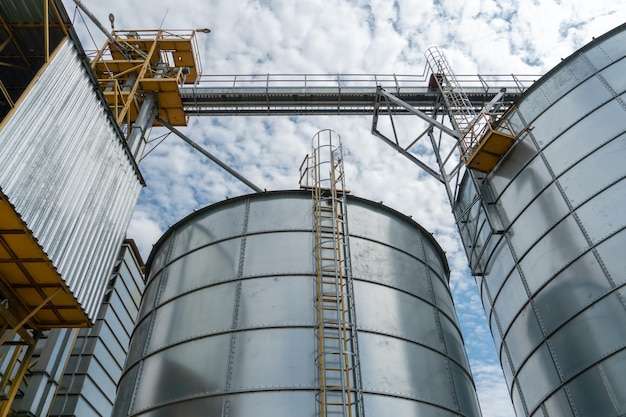 Silos de plata en la planta de fabricación agrícola para el procesamiento, secado, limpieza y almacenamiento de productos agrícolas, harina, cereales y granos Grandes barriles de hierro de grano Elevador de granero