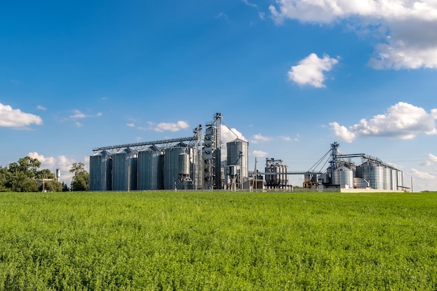 Silos de plata en la planta de procesamiento y fabricación de productos agrícolas para el procesamiento, secado, limpieza y almacenamiento de productos agrícolas, harina, cereales y granos, elevador de granero