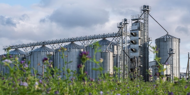 Silos de plata en plantas de agroprocesamiento y fabricación para procesar, secar, limpiar y almacenar productos agrícolas, harina, cereales y granos. Elevador de granero moderno y línea de limpieza de semillas.