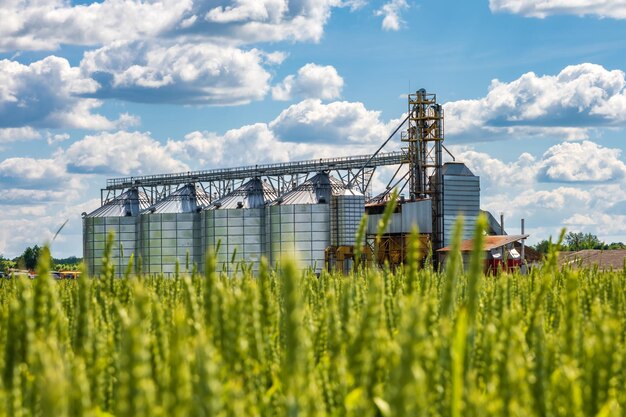 Foto silos und landwirtschaftliche verarbeitungsanlagen für die verarbeitung und silos für die trocknung, reinigung und lagerung von landwirtschaftlichen produkten, mehl, getreide und getreide