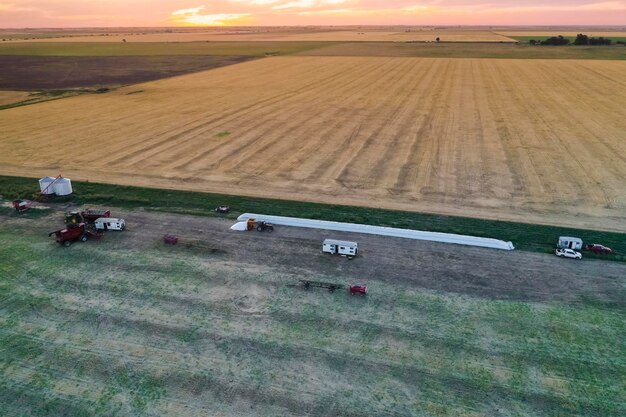 Silosackarbeit in der Getreidespeicherung auf dem Land der Pampa in La Pampa, Argentinien