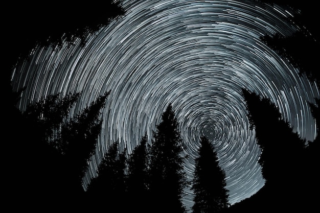 Silueta de abeto en el cielo nocturno con estelas de estrellas