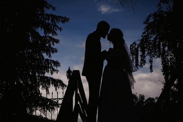 silueta, de, se abrazar, pareja, de, novia y novio, en, un, día boda