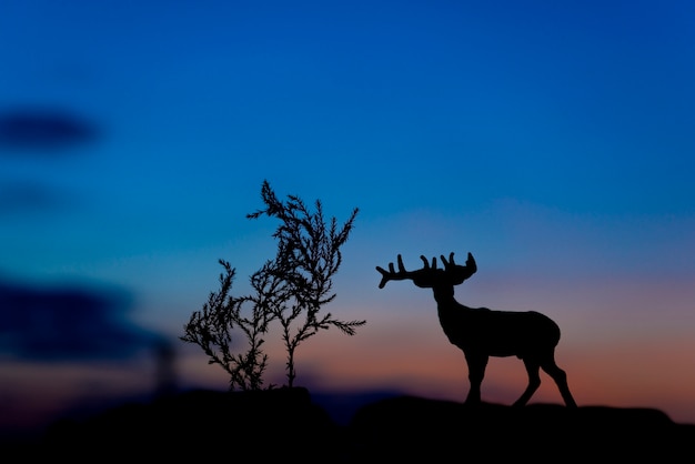 Silueta de alces en el fondo del atardecer.