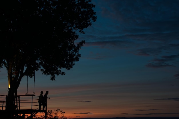 Una silueta amante está parada en un árbol con un colorido cielo crepuscular en una noche