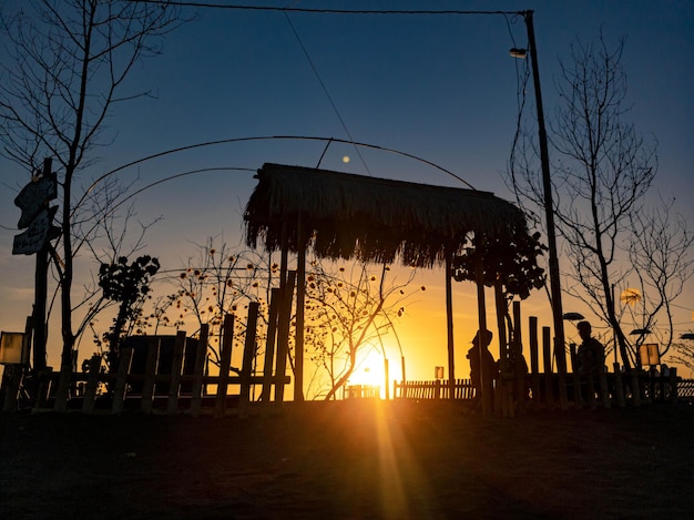 Silueta de árbol con amanecer en la mañana.