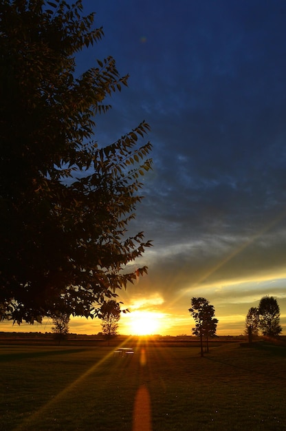 Foto silueta de árbol en el campo contra el cielo al atardecer