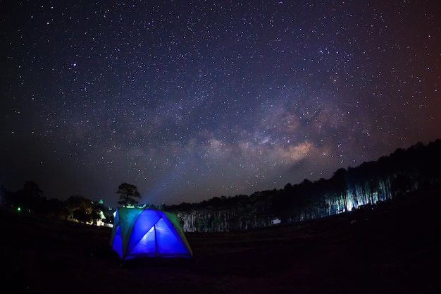 Silueta de árbol con carpa y Vía Láctea Phu Hin Rong Kla National ParkPhitsanulok Tailandia