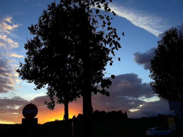 Foto la silueta del árbol contra el cielo