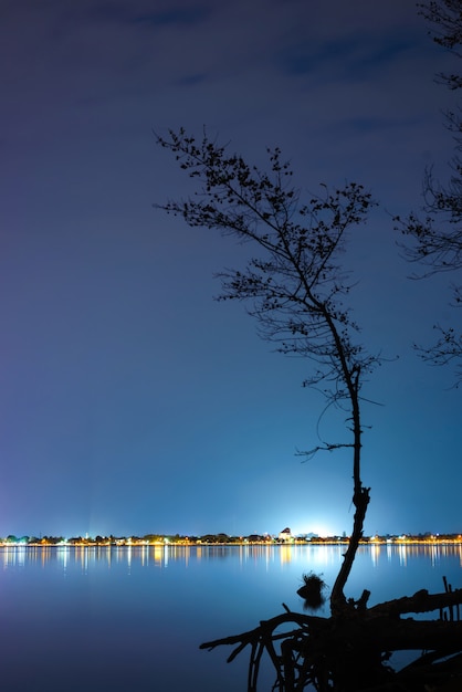 Silueta de árbol con luz de ciudad.