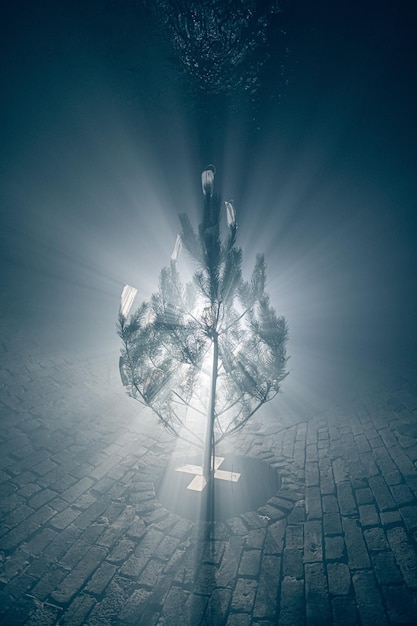 Silueta de un árbol de Navidad en la niebla decorada con máscaras médicas en el túnel de alcantarillado