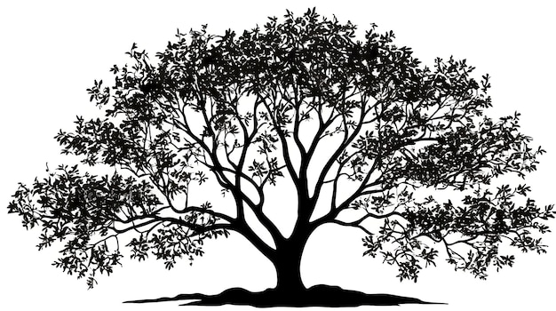 Silueta de árbol negro fondo aislado árbol negro clip art