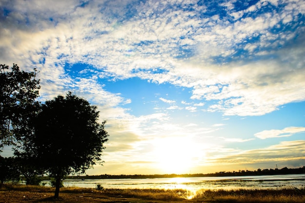 silueta, de, árbol, en, ocaso, hdr, estilo