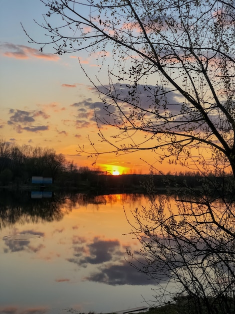 Silueta de árbol sobre el lago con puesta de sol de luz naranja en el horizonte