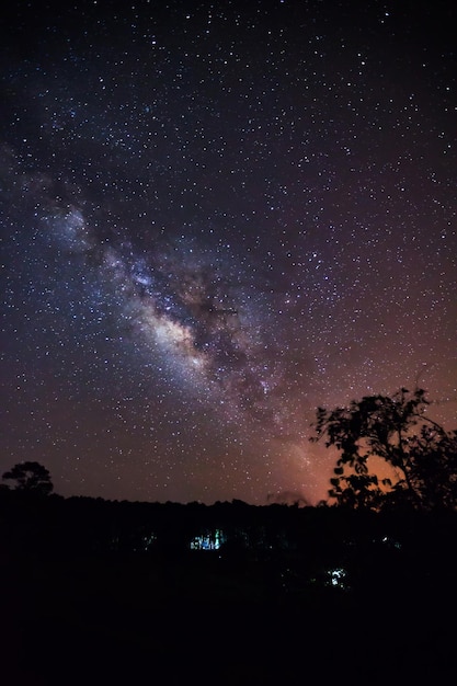 Silueta de árbol y Vía Láctea fotografía de larga exposición con grano