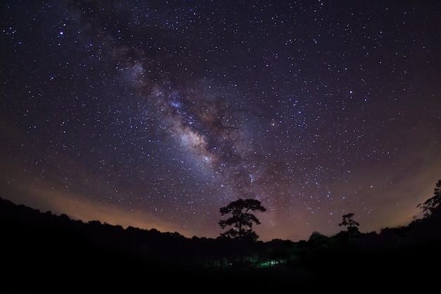 Silueta de árbol y Vía Láctea con nube Fotografía de larga exposición