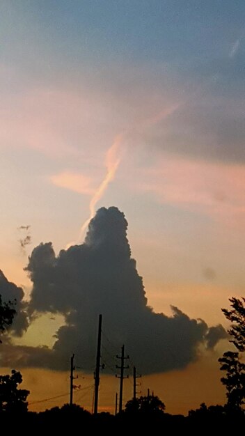 Foto silueta de los árboles al atardecer