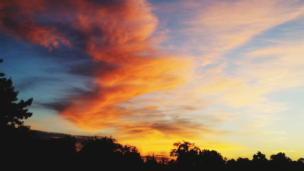 Foto silueta de árboles al atardecer