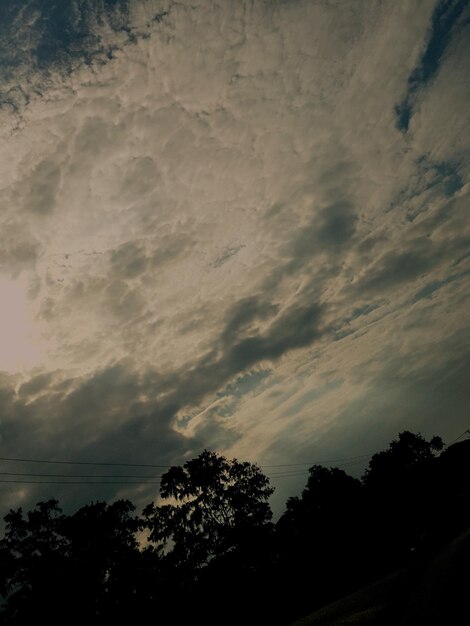 Foto silueta de árboles al atardecer