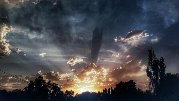 Foto silueta de árboles al atardecer