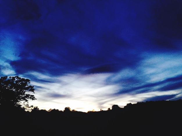 Foto silueta de árboles contra el cielo nublado