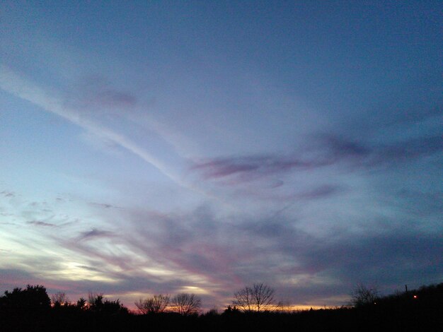 Foto silueta de árboles contra el cielo nublado