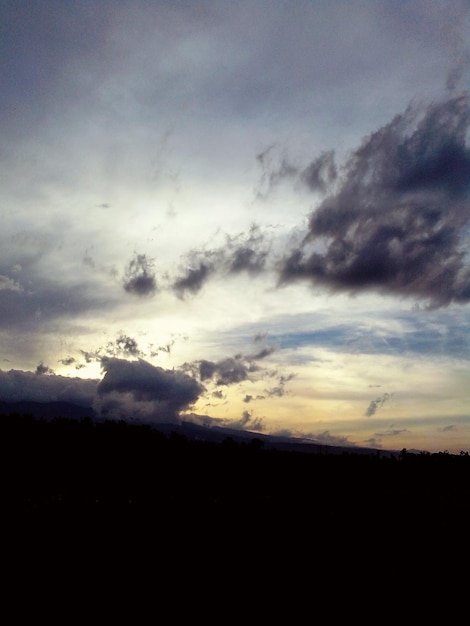 Foto silueta de árboles contra el cielo durante la puesta de sol