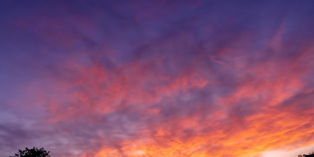 La silueta de los árboles en el horizonte añade profundidad a la escena de brillantes nubes monzónicas durante la puesta de sol.