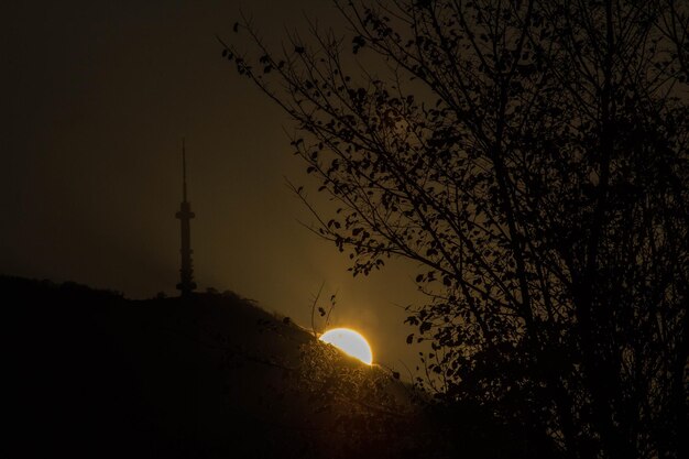 Foto silueta de los árboles por la noche