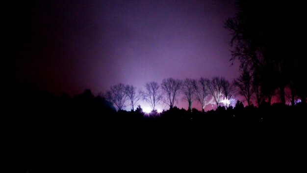 Foto silueta de los árboles por la noche