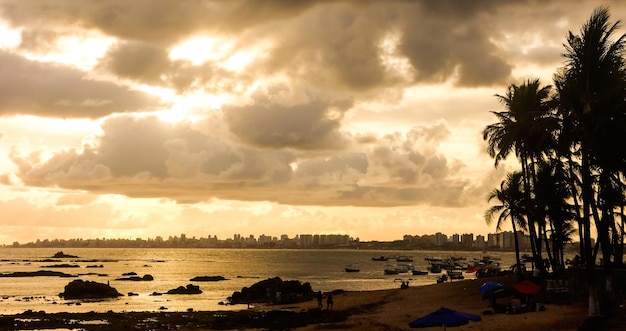 silueta, de, árboles de palma, en, el, playa tropical, en, dorado, ocaso