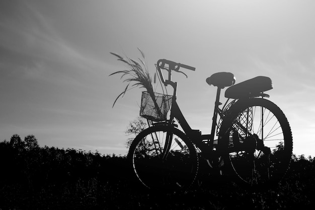 Silueta de bicicleta con paisaje en blanco y negro.