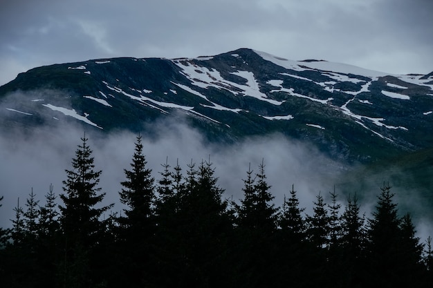 Silueta, de, árvores, com, nevado, montanhas