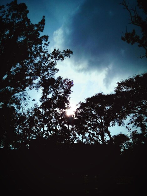 Foto silueta de árvores contra o céu nublado