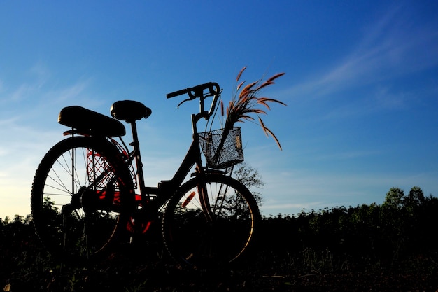 Silueta, de, bicicleta, com, céu azul