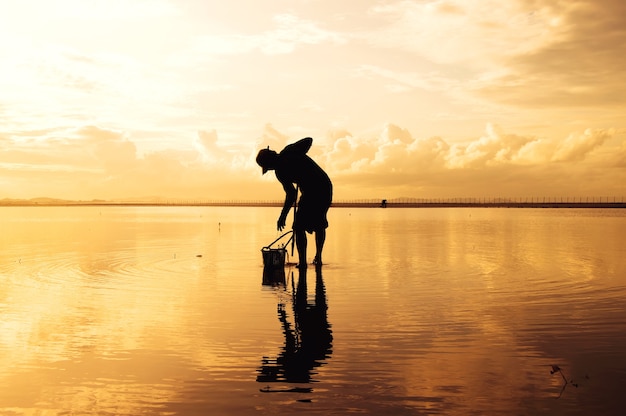 Silueta, de, local, pescador, achando, a, concha, mar, em, pôr do sol