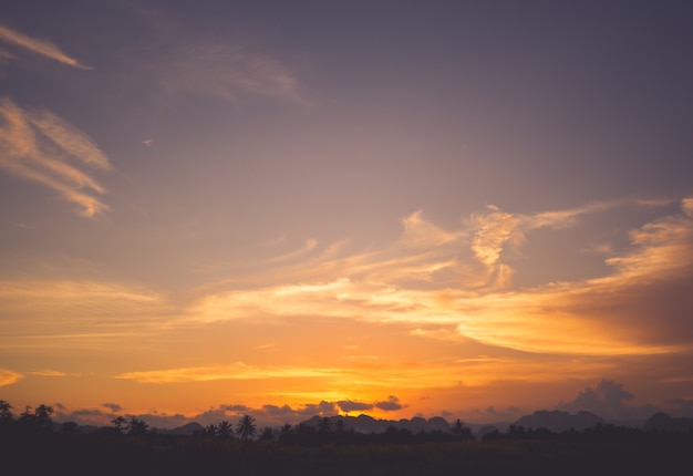 Silueta, de, tropicais, coqueiros, durante, pôr do sol