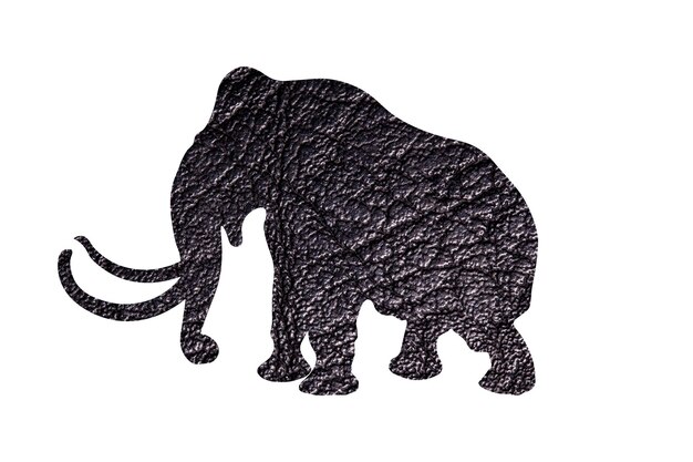 Silueta de un elefante de papel de regalo aislado sobre fondo blanco.