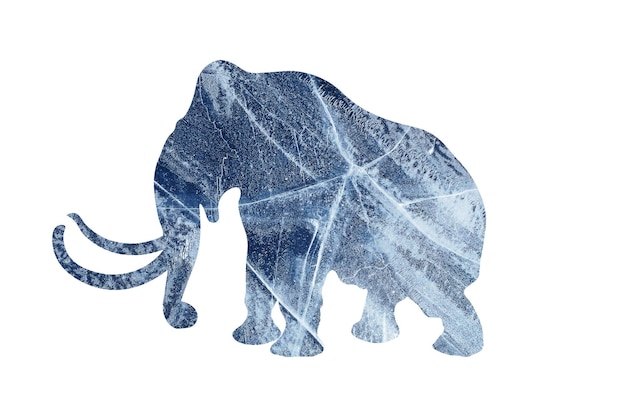 Silueta de elefante con textura de hielo azul aislado sobre fondo blanco.