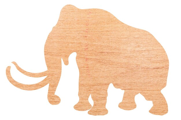 Silueta de elefante con textura de madera aislada sobre fondo blanco