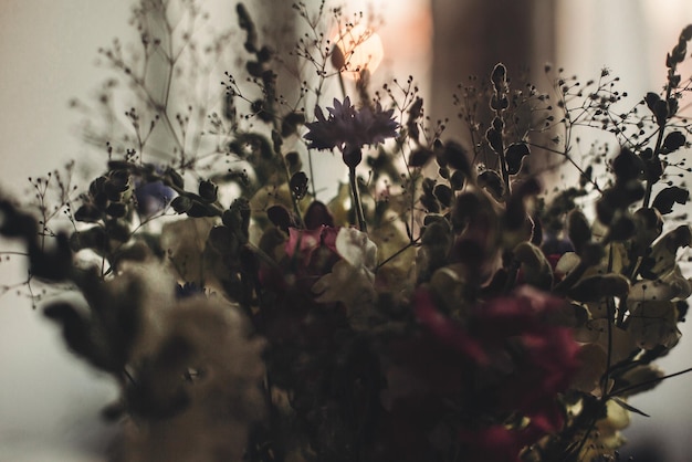 Silueta de flores a la luz del atardecer flores silvestres a la luz del sol en la casa de campo en la habitación de la noche hermosa imagen de floración momento atmosférico concepto rústico