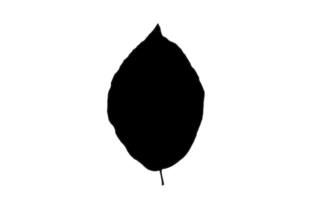 Silueta de hoja elemento de diseño de primavera negra naturaleza botánica arte de ilustración